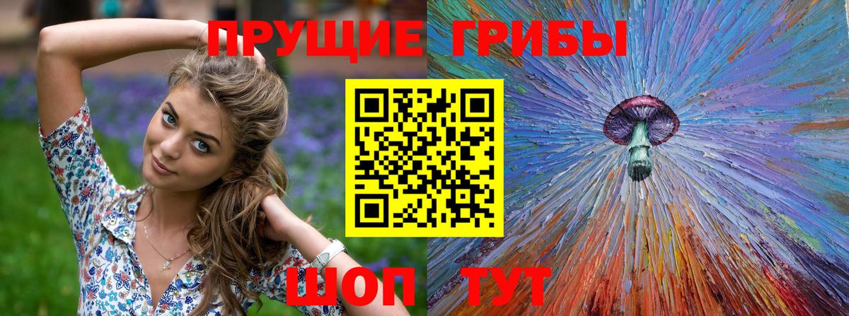 Галлюциногенные грибы Cubensis  купить   Галлюциногенные грибы мицелий  Электрогорск  Вход с VPN 